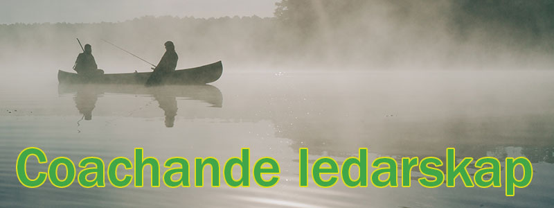 Guide till coachande ledarskap